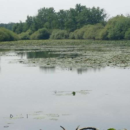 Maison De Ferme Au Calme Jusqu'A 10 Personnes Gannay-sur-Loire Esterno foto