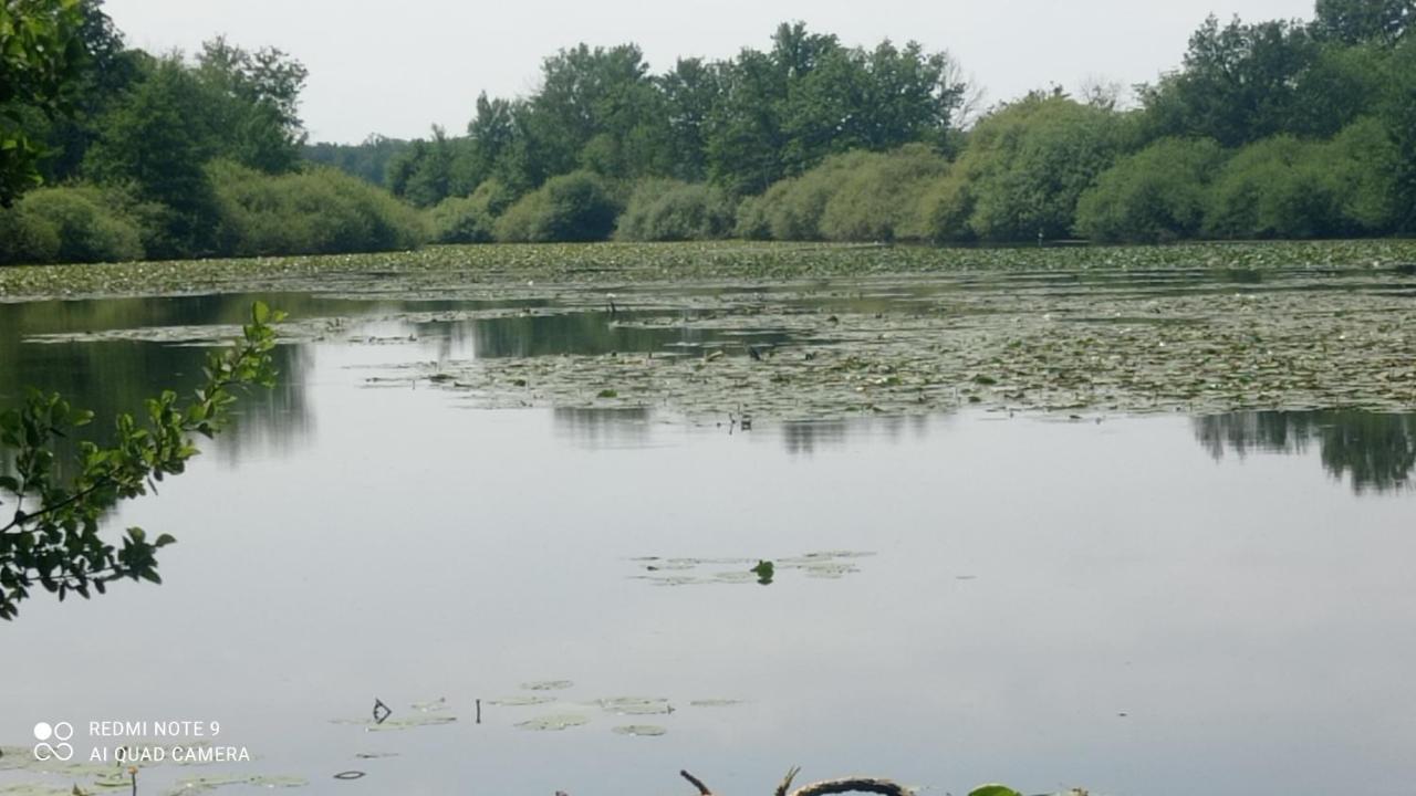 Maison De Ferme Au Calme Jusqu'A 10 Personnes Gannay-sur-Loire Esterno foto